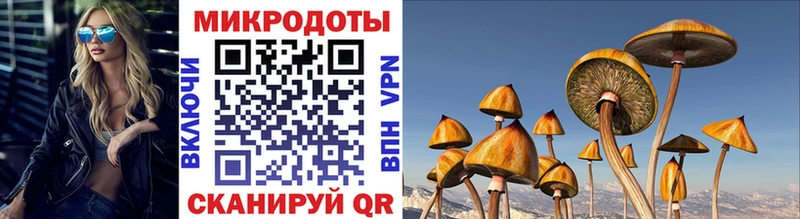 мега онион наркошоп Кировск Псилоцибиновые грибы Psilocybine cubensis